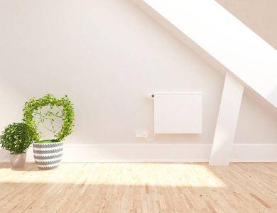 斯堪的纳维亚空房室内部的想法，木地板上有植物。家北欧内部。3D图案