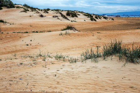 美丽的大黄沙漠沙滩上..荒无人烟的沙漠沙丘