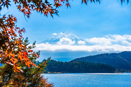 秋季环湖枫叶树的富士山美景图片