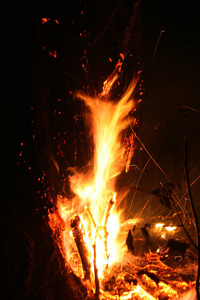 森林大火。 倒下的树在地面上燃烧大量的烟雾时，野火。 火摧毁一切，只留下焦树和灰烬。 森林燃烧是自然灾害。 森林火灾可视化