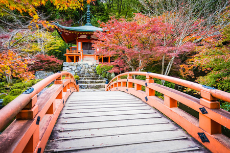 日本京都，秋季有五颜六色的树木和树叶的美丽的大宫寺