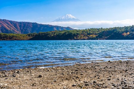 秋季日本大林枫叶树环绕湖泊的富士山美景
