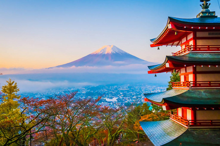 日本大林秋季枫叶树旁有朱雷托塔的富士山美景