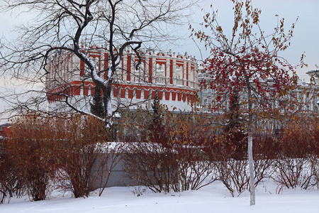 莫斯科的库塔法亚塔克里姆林宫亚历山大花园的树木，浆果，冬天