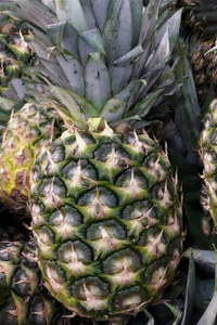 菠萝的整体接近绿色，在市场上留下了健康食品的背景