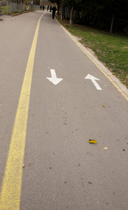 自行车道。 在城市公园的自行车道上用定向箭头标记。 户外运动健身和积极的生活方式。 道路上自行车路线的标志和箭头的方向