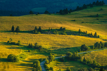 日落时斯洛伐克山区草地风景
