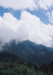 岩石山的美丽景色