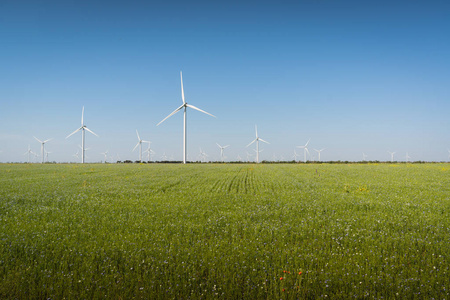 夏天风景与风力发电机涡轮在绿色草甸与蓝色花和蓝色天空背景