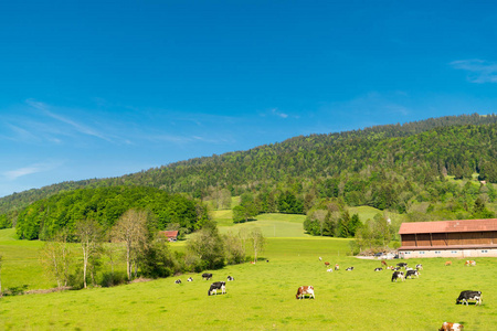 从瑞士弗里堡高山山麓的Gruyeres城堡Chateau de Gruyeres俯瞰壮观的全景