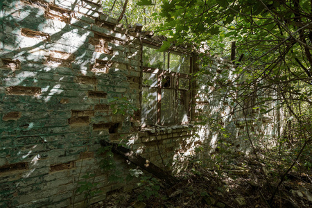 切尔诺贝利放射性死亡区房屋废墟。 被摧毁的废弃房屋在森林中生长和死亡。 切尔诺贝利的神秘房屋废墟。 森林树木吸收破坏房屋。 选择