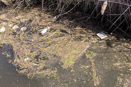 小河流灌溉渠道的脏污水和家庭垃圾导致藻类迅速生长。 水污染。 生态问题。 塑料的问题。 使用水是危险的，禁止使用