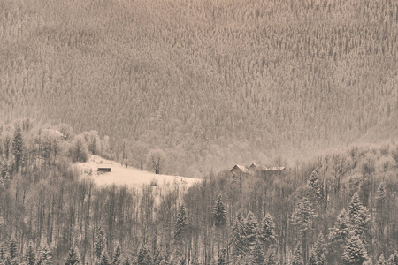 白雪覆盖的山坡。远处的小房子