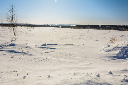 冬天森林附近的积雪覆盖的田野