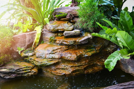 小池塘，有瀑布设计的石头和植物在花园里