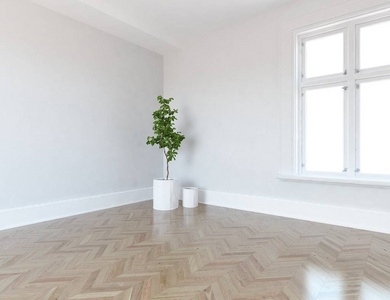 一个白色的空斯堪的纳维亚房间内部与植物在木制地板上的想法。 家北欧内部。 三维插图