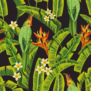 美丽的热带鸟鹦鹉绿的颜色，在异国情调的丛林与花，弗兰吉帕尼梅花鸟的天堂和棕榈香蕉叶。 夏季无缝组合现实向量