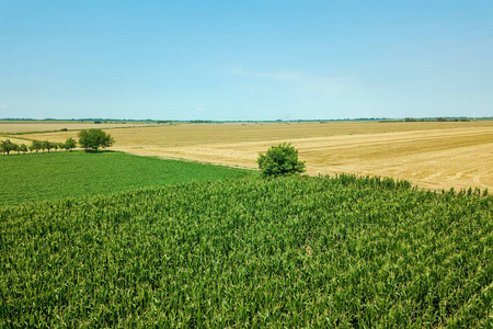 夏季田野空中。 空中绿色视野。 农业田空中。