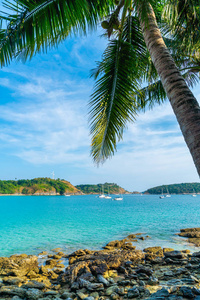 美丽的热带海滩和海洋与椰子棕榈树在天堂岛度假概念