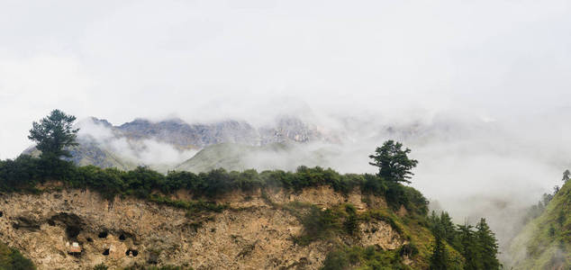 山上的森林有雾。
