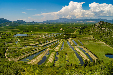 克罗地亚亚得里亚海沿岸田野和草地的风景