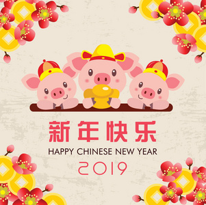 中国新年2019猪年。 问候模板与可爱的卡通猪。 中文翻译新年快乐。