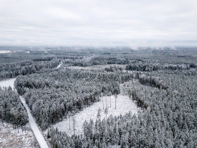 冬季森林地区用雪树的鸟瞰图