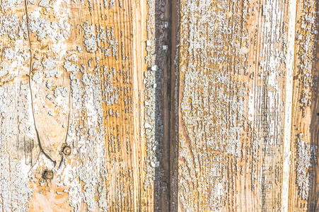 旧的木制背景纹理。 油漆木栅栏的详细照片。