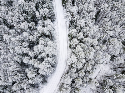 冬季森林地区用雪树的鸟瞰图图片