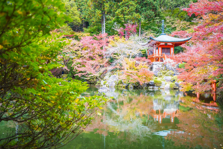 日本京都，秋季有五颜六色的树木和树叶的美丽的大宫寺