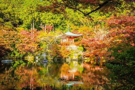 日本京都，秋季有五颜六色的树木和树叶的美丽的大宫寺