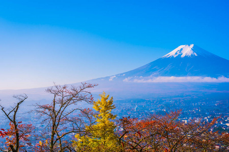 日本大林秋季枫叶树四周美丽的富士山景观，白云蓝天