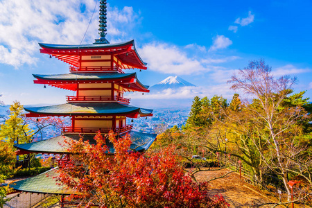 日本大林秋季枫叶树旁有朱雷托塔的富士山美景