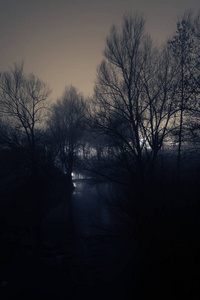 在冬季的夜晚，柔和的溪流和裸露的树木的轮廓形成黑暗的景象，背景中闪烁着光芒