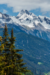 夏季阿尔卑斯山的山景，山坡上有冷杉林，在遥远的奥地利，雪覆盖了岩石顶部。