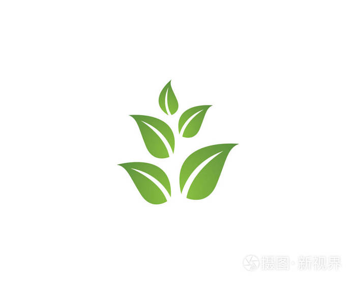 树叶矢量图标插图设计模板