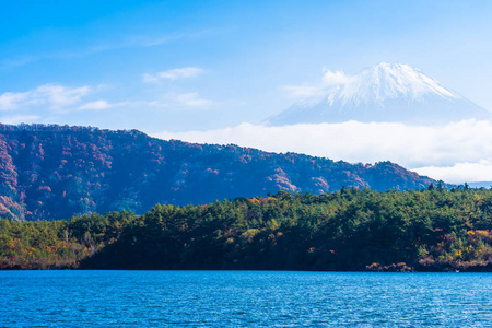 日本秋季环湖枫叶树的富士山美景