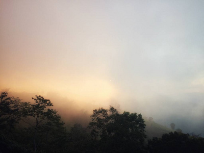 落日光雾中的森林山景观自然图片