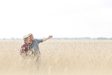 农民一边站在田里，一边与小麦作物交谈