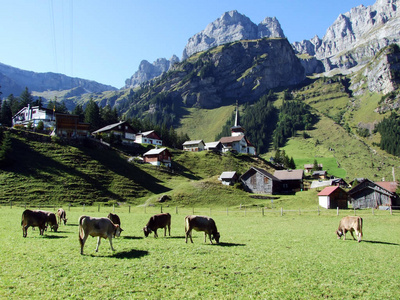 典型的风景如画的高寒村，瑞士乌里的古尔博登县