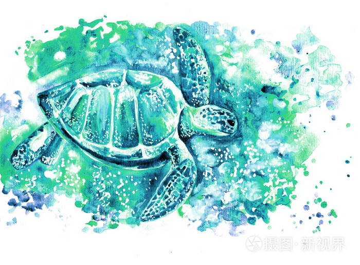水下海龟编织水下水彩画