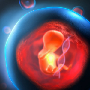 一个未出生的转基因胚胎被困在一个带有dna链的透明气泡中的三维插图