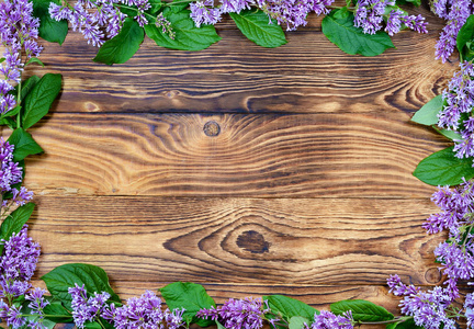 在一块用紫色紫丁香的树枝做成的旧木板上以装饰物的形式作为节日贺卡的模板