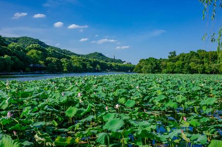 杭州宝石山顶荷叶宝珠宝塔西湖景观