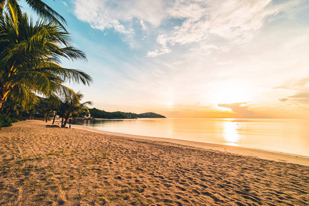 日落时分，在热带天堂岛海滩和海洋上用椰子棕榈树度假和度假