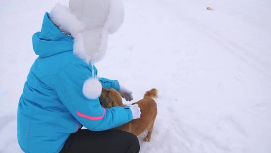 女孩爱抚狗和小狗在冬天寒冷的日子。狗在雪路上和主人玩。冬天。宠物