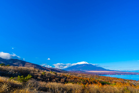 日本秋季稻子或山坂湖富士山的美丽景观