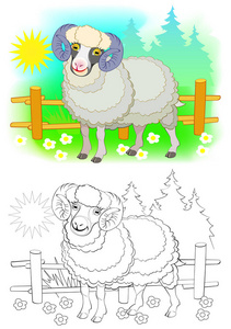 可爱羊的幻想插图。 彩色黑白页的着色书。 可打印的儿童和成人工作表。 矢量卡通形象。