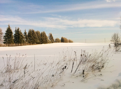 美丽的冬季景观。 雪野森林和蓝蓝的天空在寒冷的阳光下