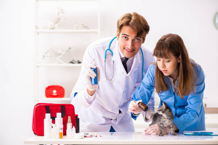 医生和助理在兽医诊所检查小猫